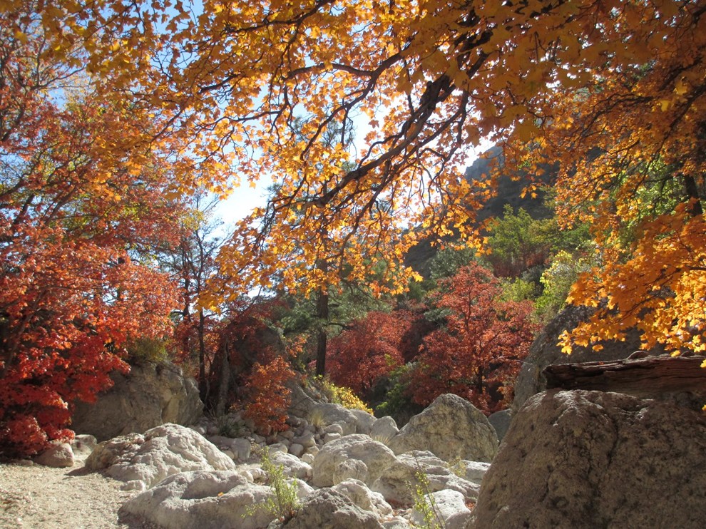Guadalupe Mountains National Park