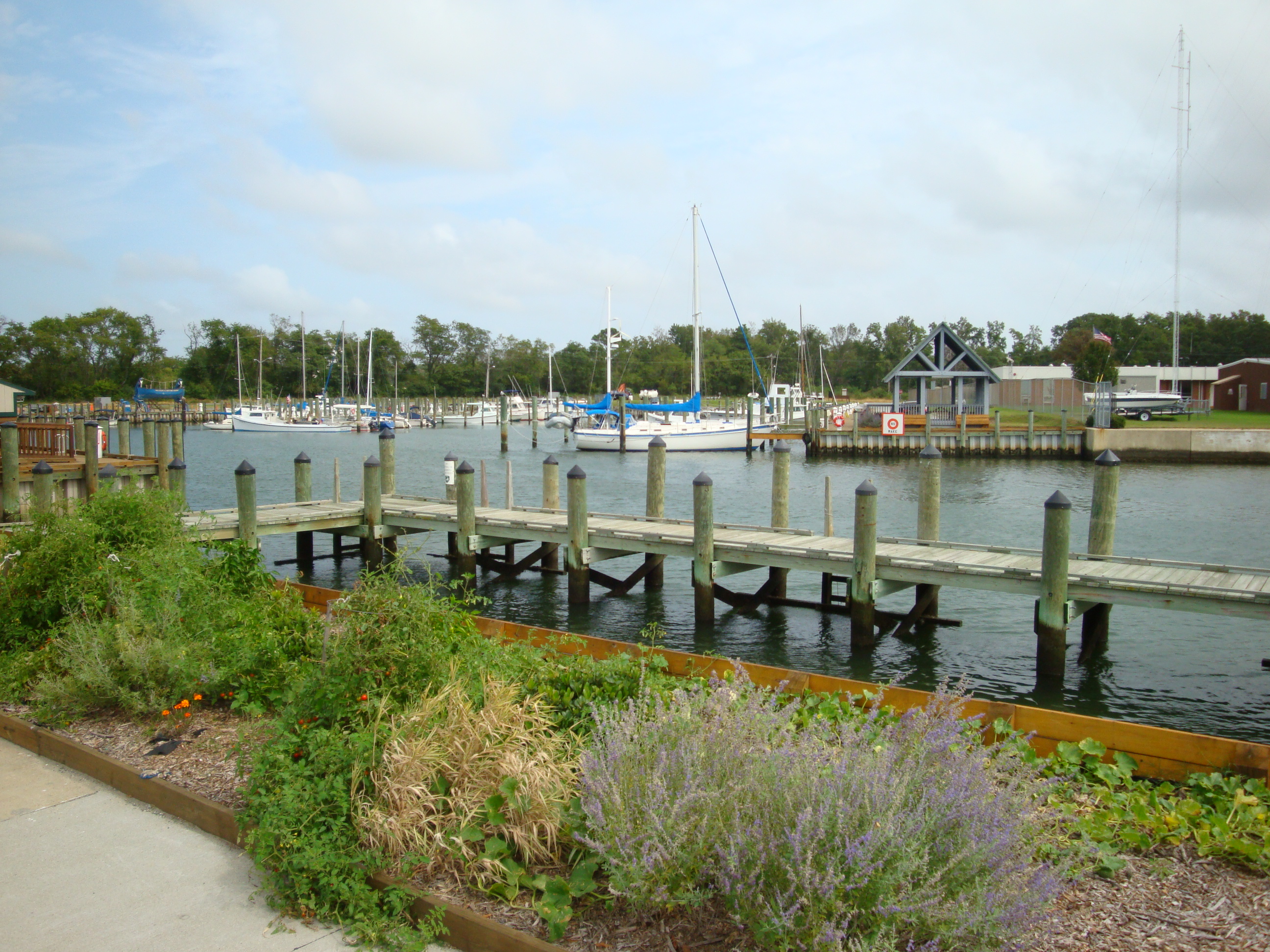 A view of docks and boats in the waterside town of Cape Charles VA