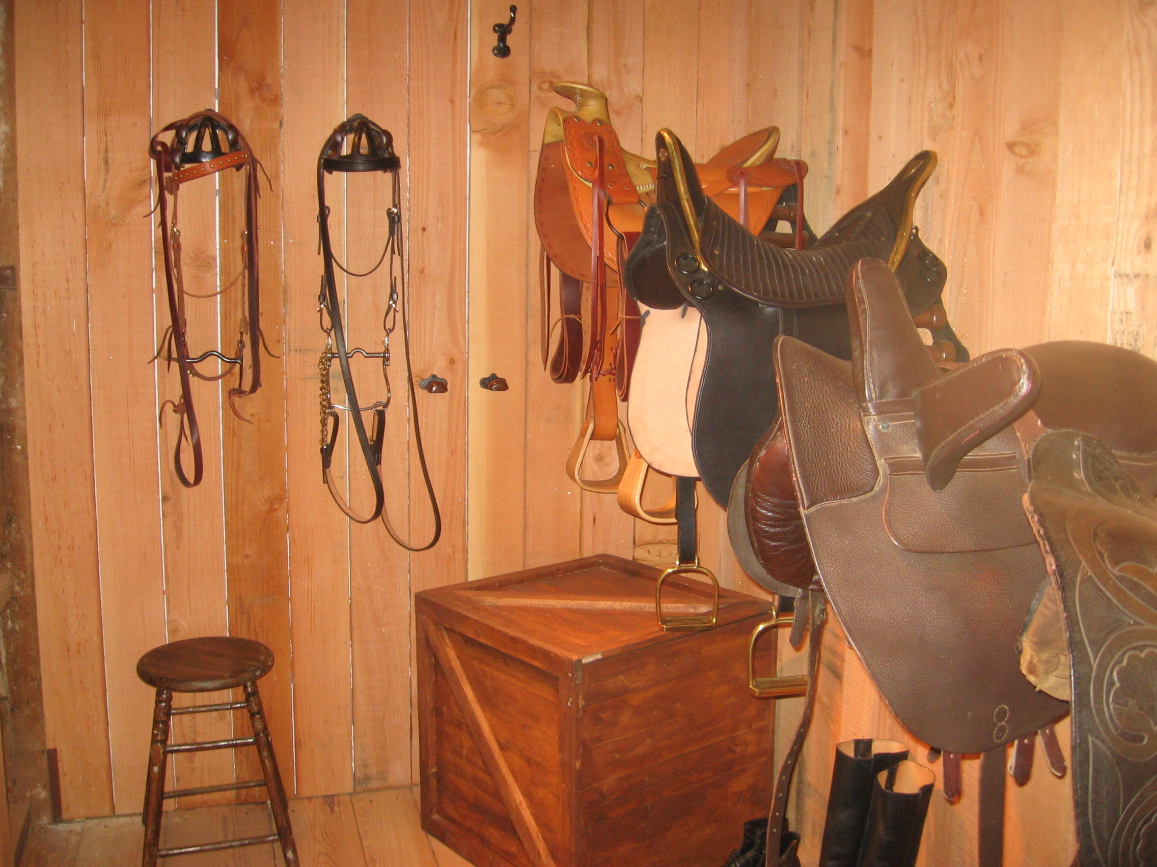 Saddles in tack room