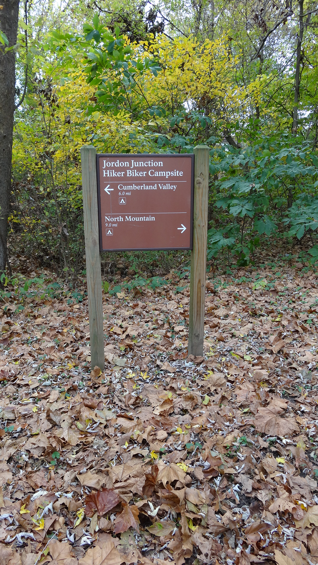 Campground sign surrounded by fallen leaves.