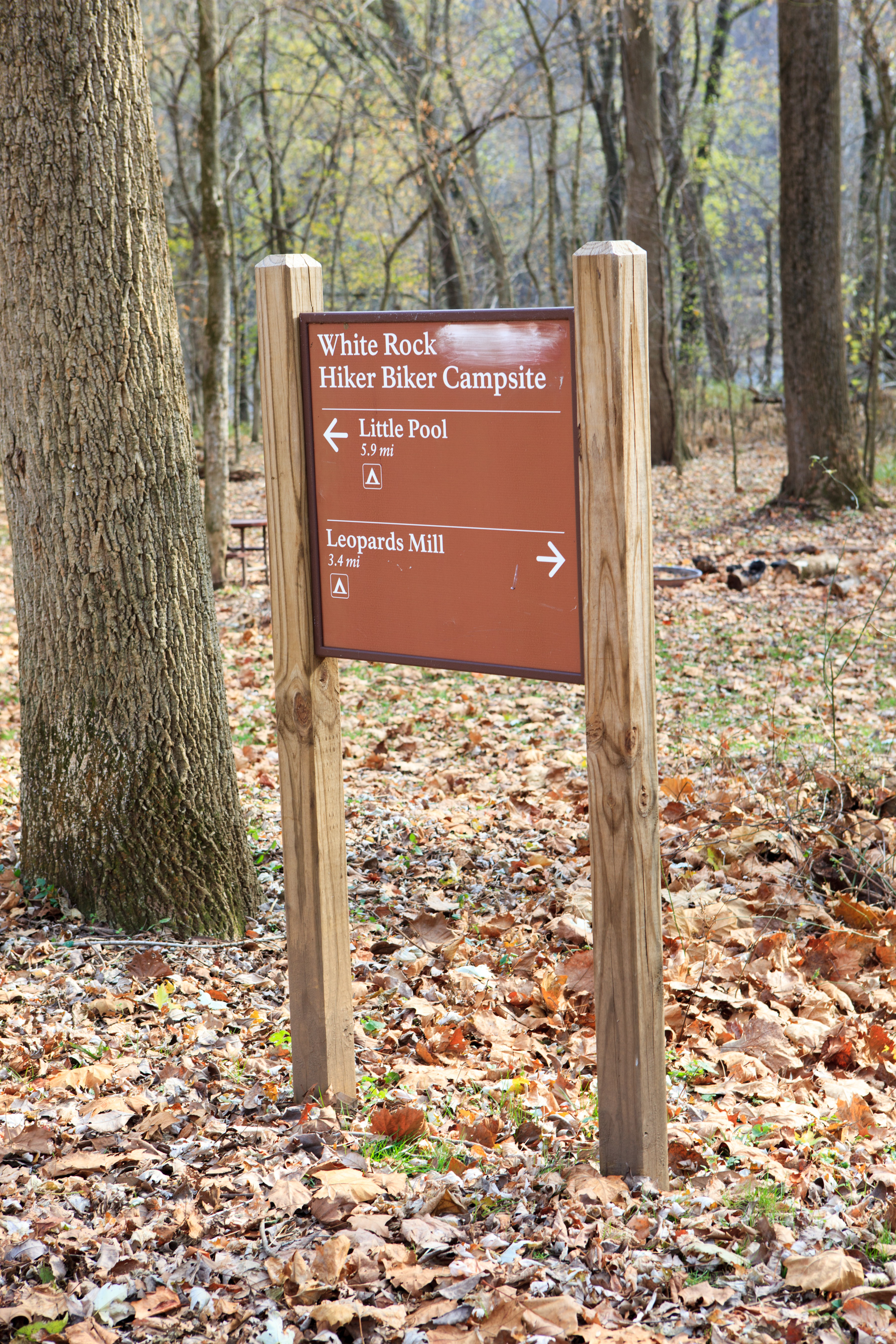 Hiker-Biker campsite sign in front of open camping area.