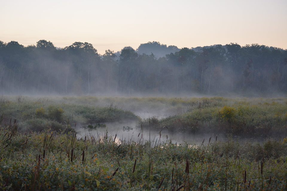 Photo of Accokeek Creek Site, as the fog rises in the early morning.