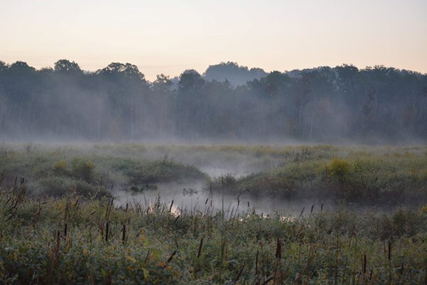 Photo of Accokeek Creek Site, as the fog rises in the early morning.