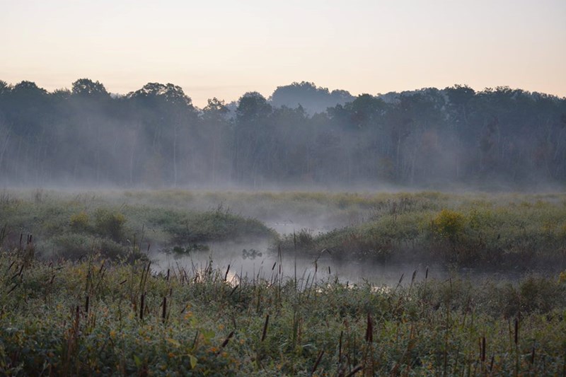 Photo of Accokeek Creek Site, as the fog rises in the early morning.