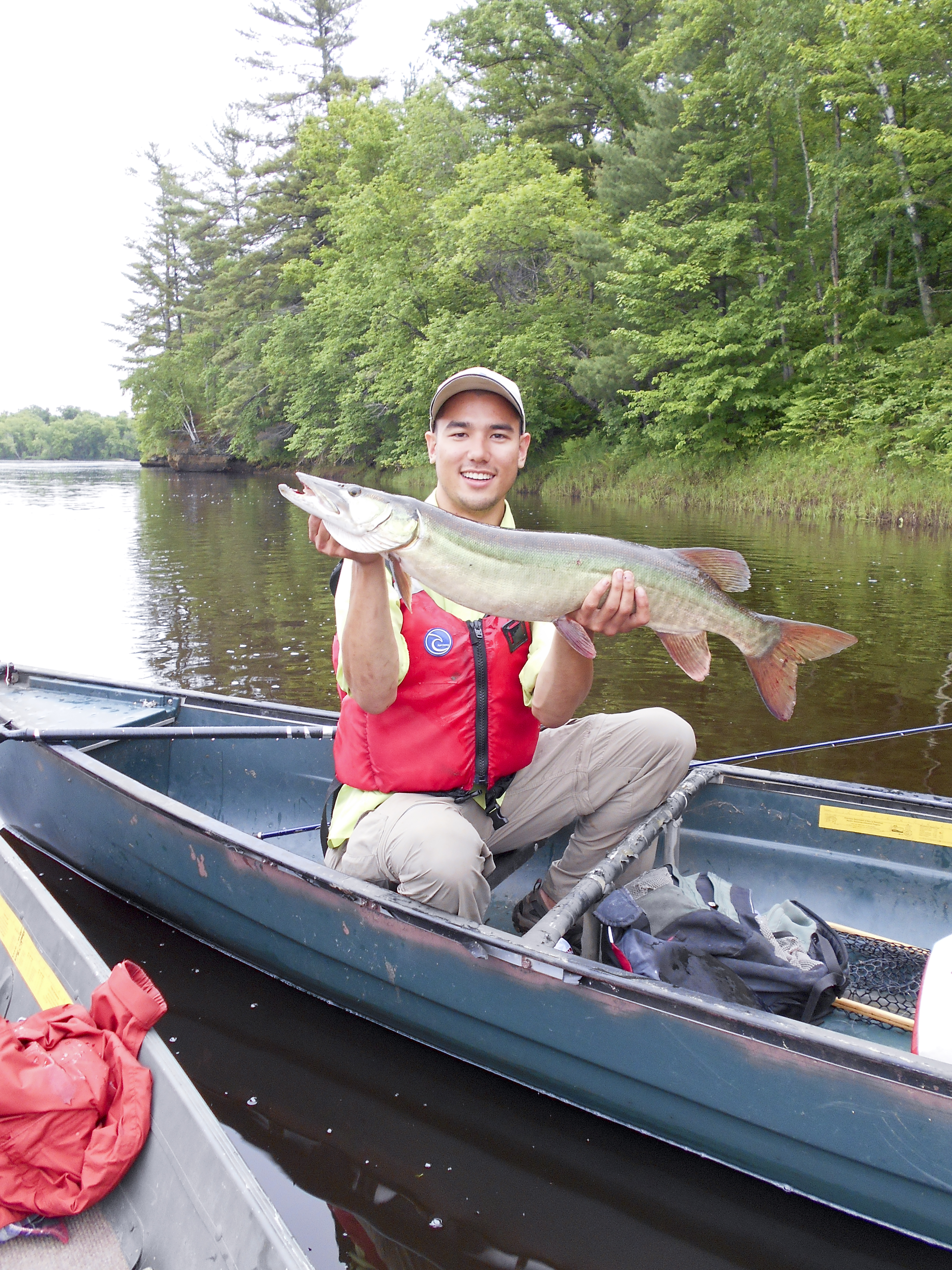 A man holds a large fish while sitting in a boat near a forested shore.