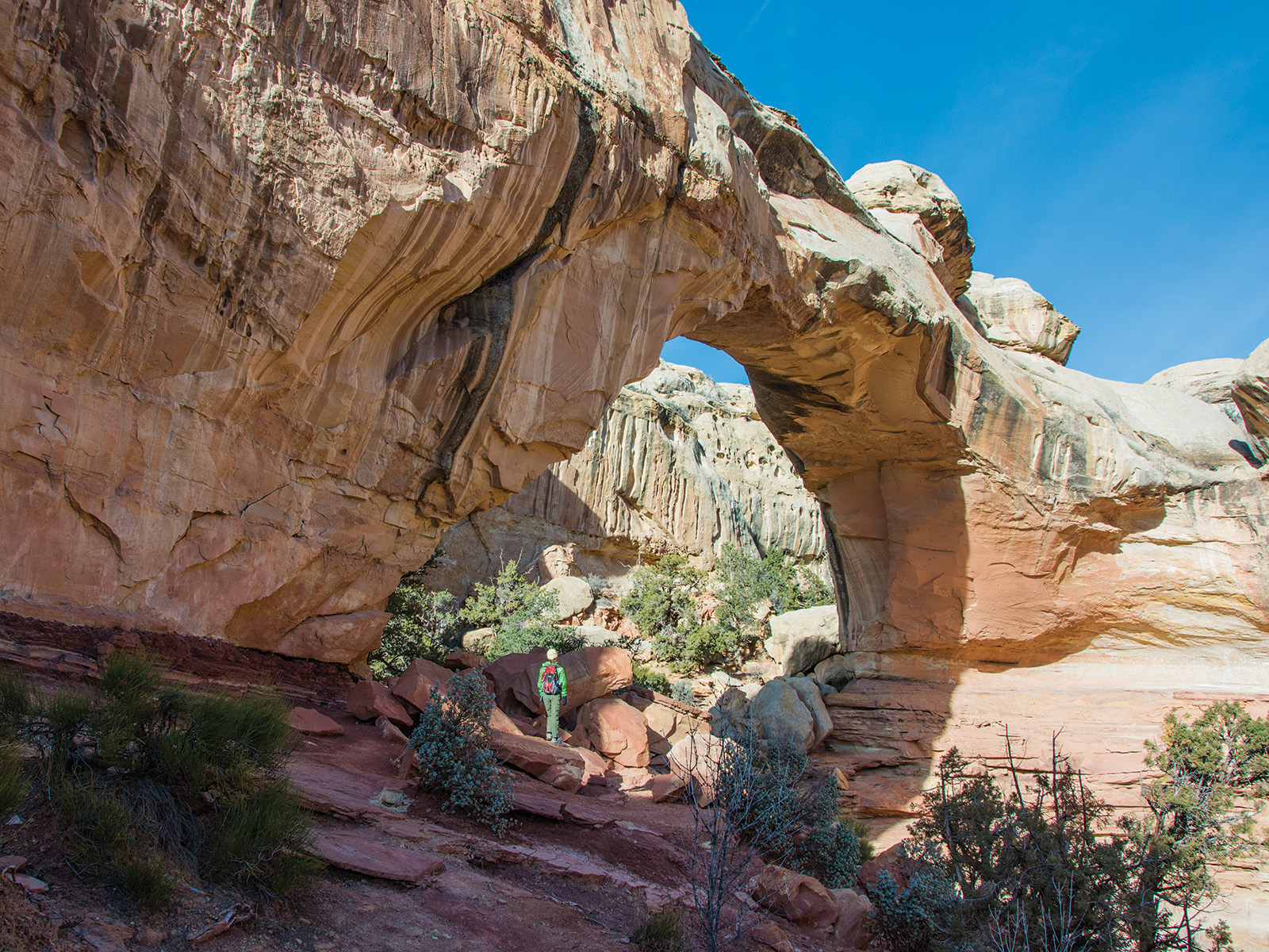 A hiker stands beside Hickman Bridge, a natural sandstone bridge