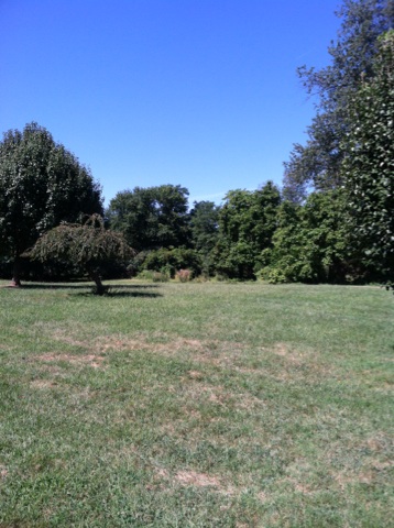 Fort during fall hike