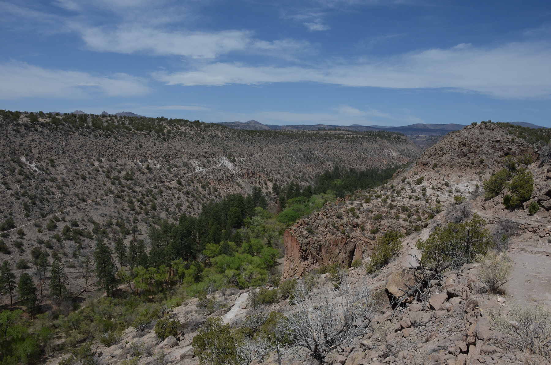 a view of Frijoles Canyon from the rim