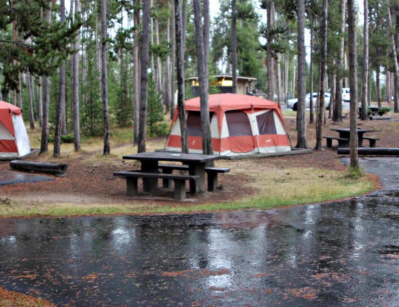 Madison Campground Yellowstone National Park U S National Park Service