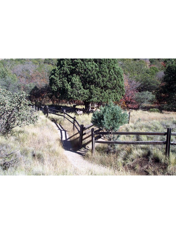 The trail in between campground sites.