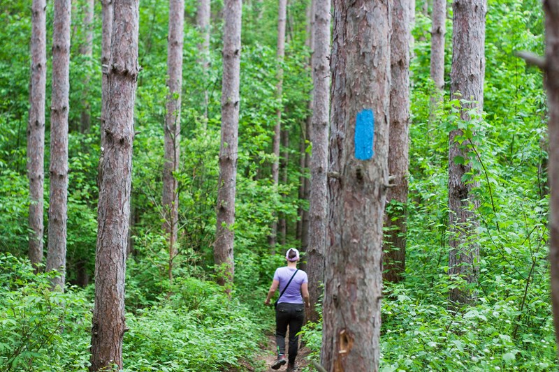 Hiking the NCT Hiking on the North Country Trail