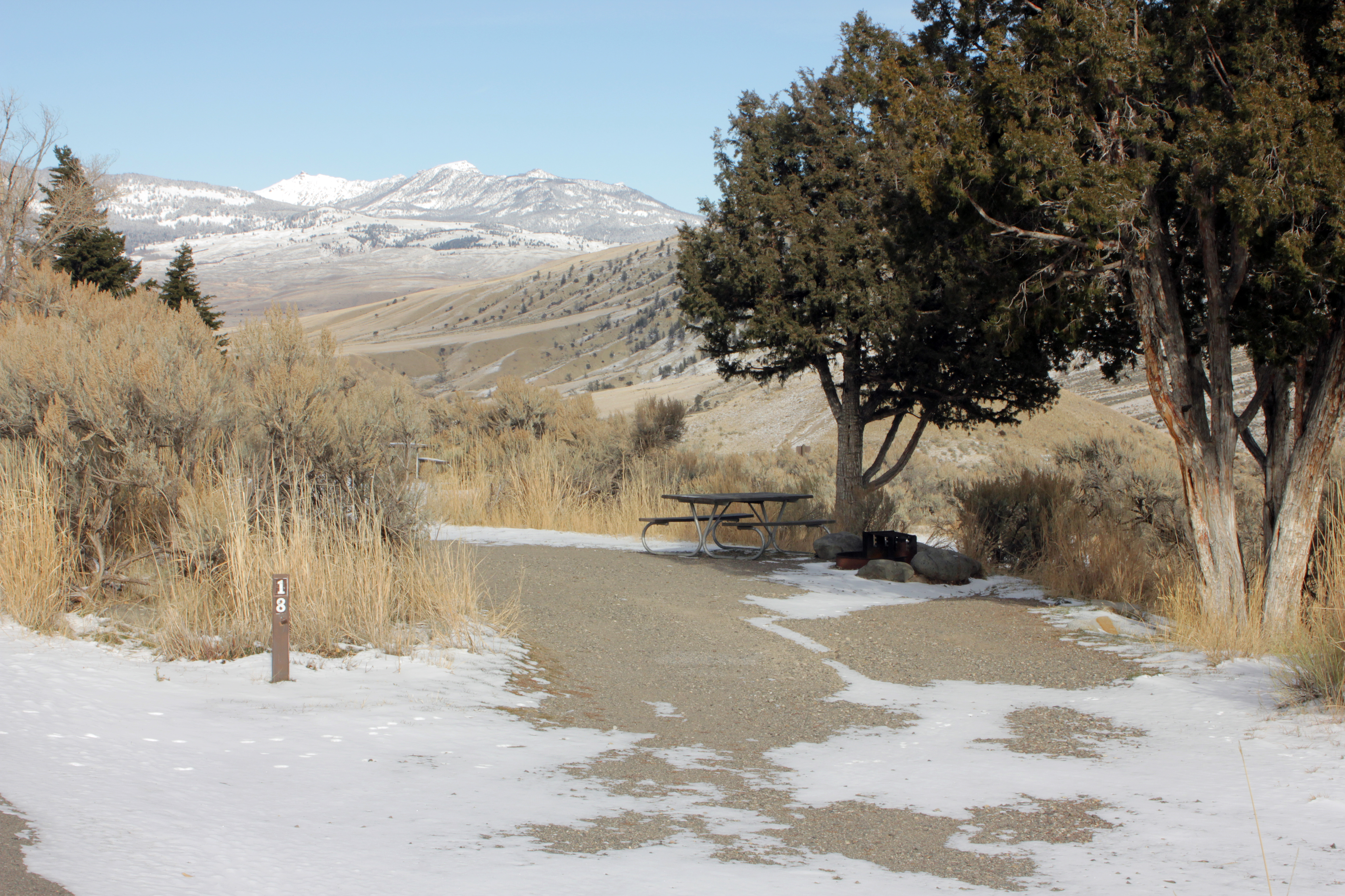 Road in campground