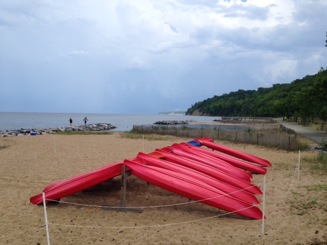 Two rows of over-turned kayaks sit on the beach with trees and water in the distance on a cloudy day