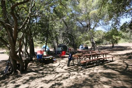 tents and picnic tables are nestled among the trees in the Circle X Campground