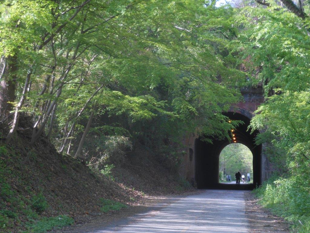 A biker riding through an illuminated tunnel in a wooded setting.