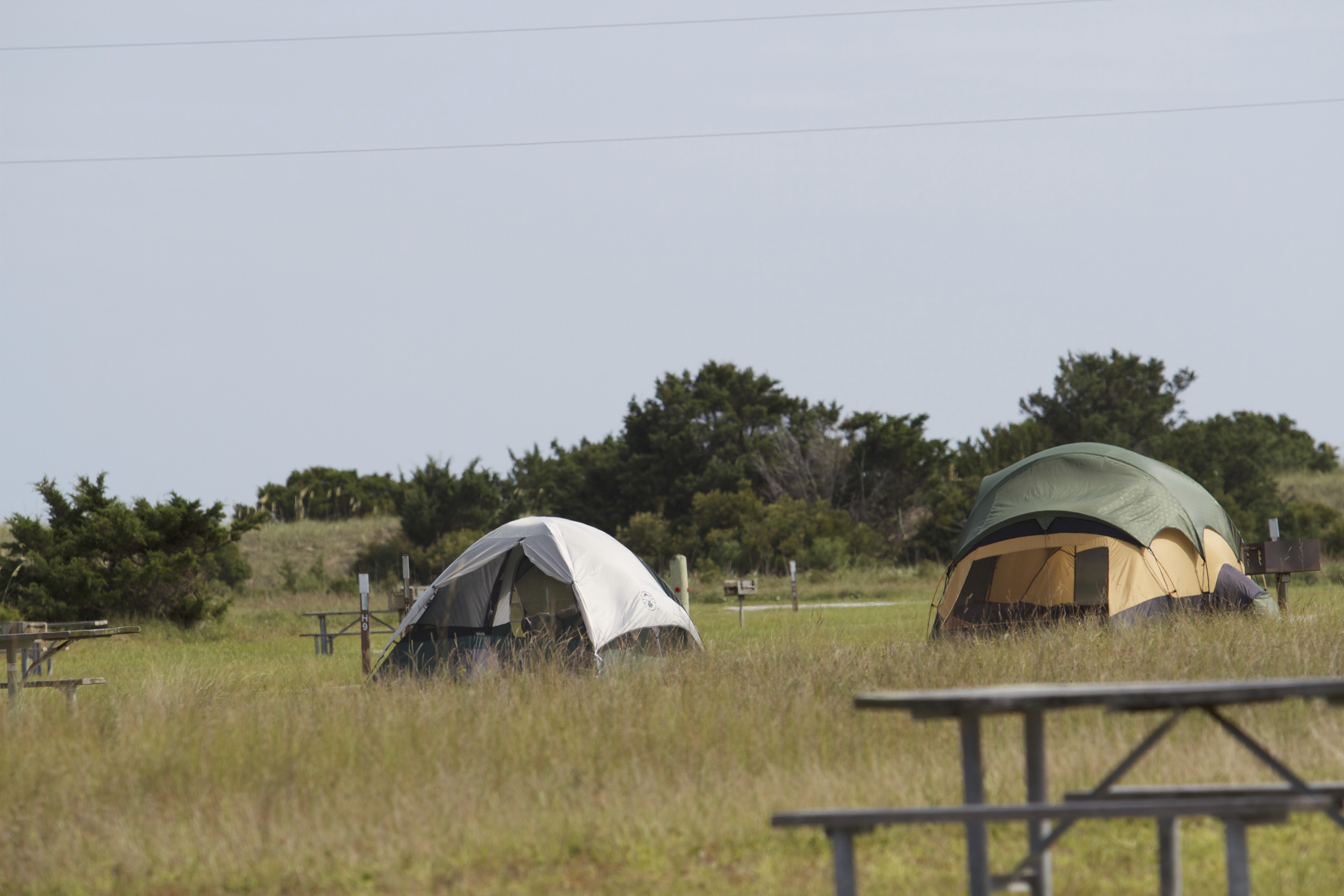Two tents visible behind a picnic table among the field at Cape Point Campground.