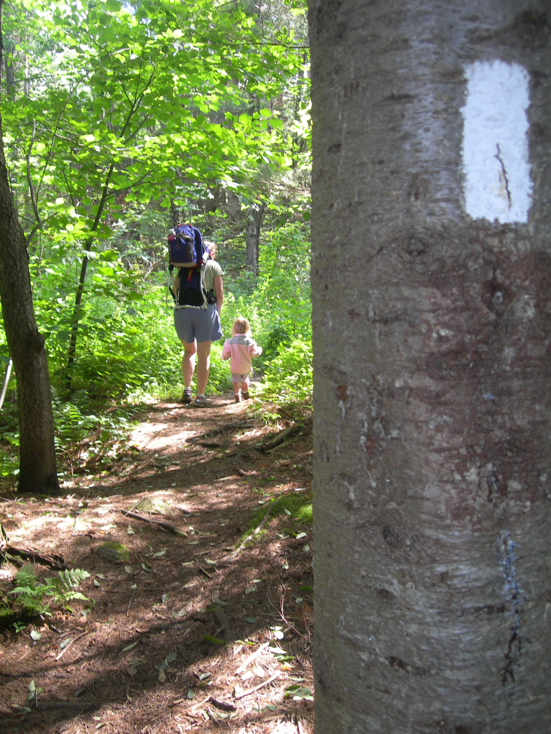 A white blaze marks a tree in the foreground, with a man and child walking away on the wooded trail.