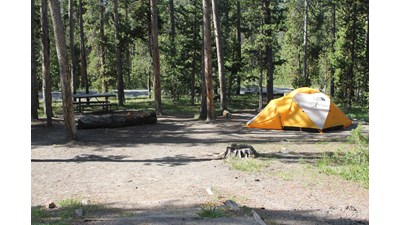 Tent pitched at a campground