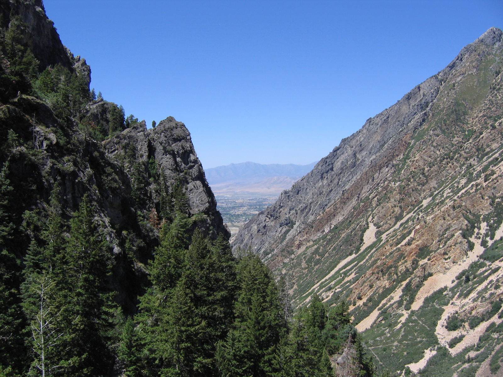 Utah Valley beyond the steep cliffs and fir trees of American Fork Canyon
