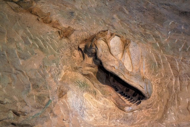Dinosaur National Monument