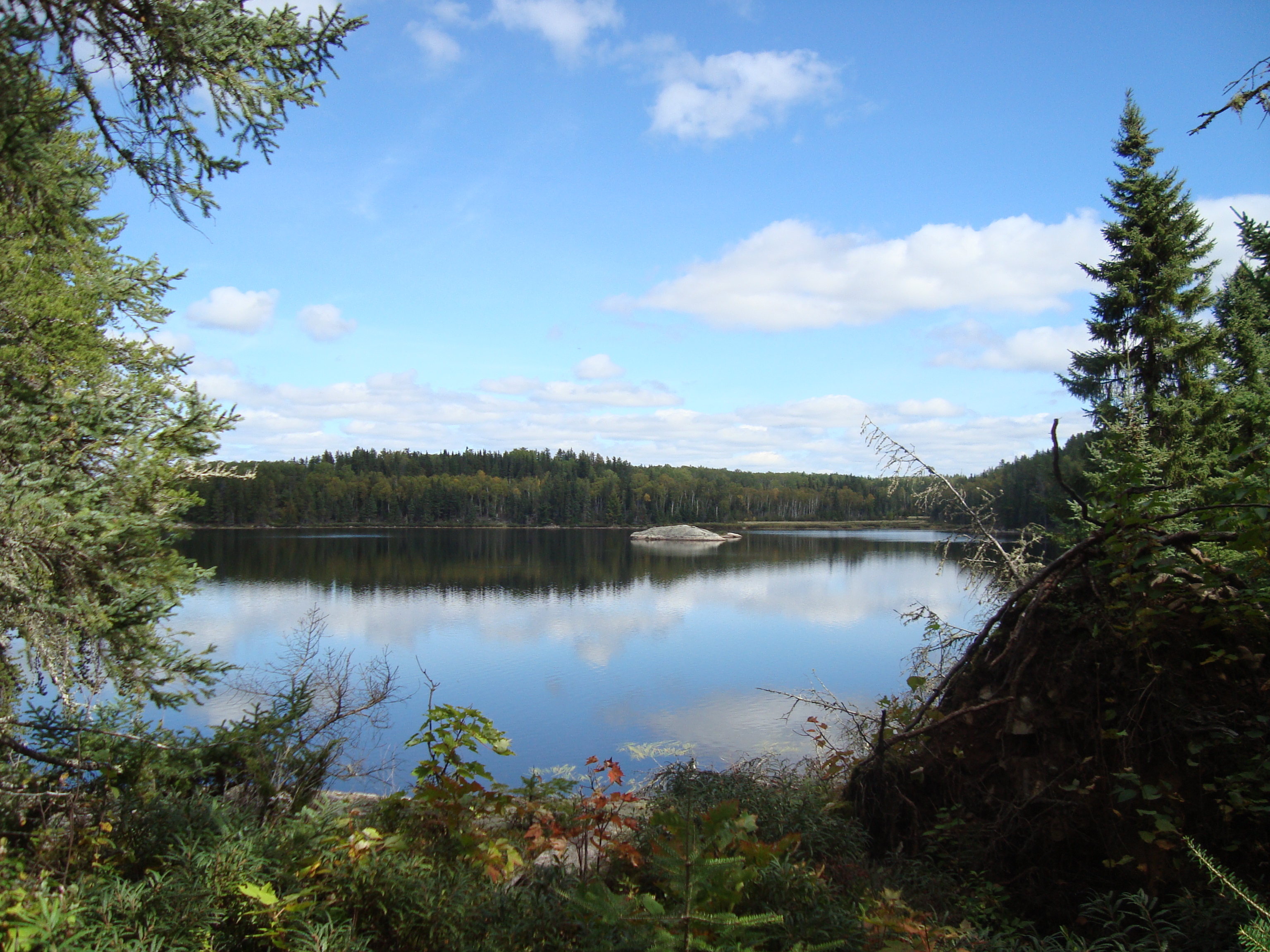 overlooking a lake