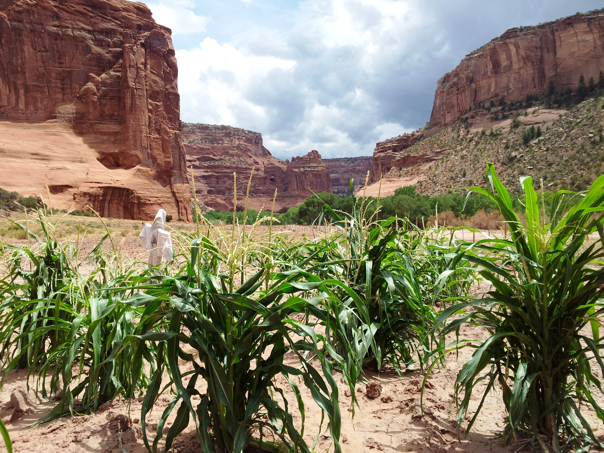 Farm in the canyon