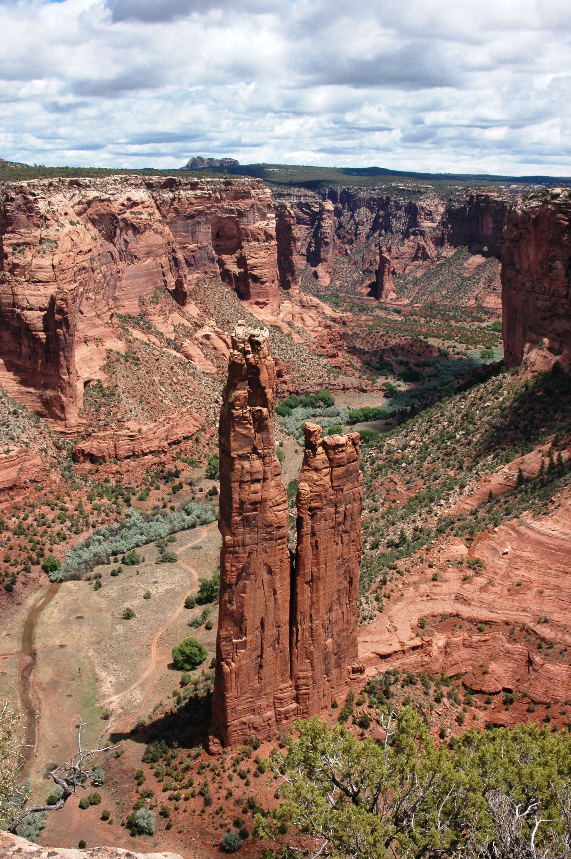View of Spider Rock from the overlook