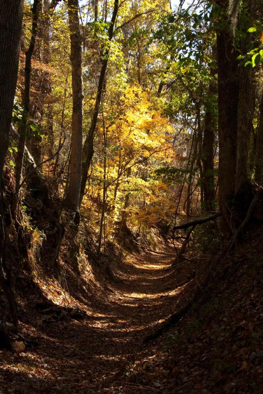 Potkopinu Section of the Natchez Trace National Scenic Trail