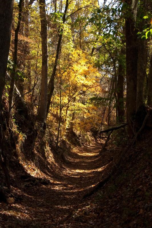 Natchez Trace National Scenic Trail