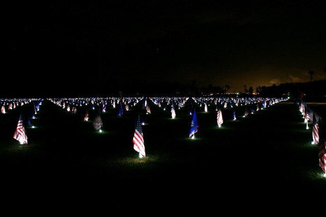 Night view of light up US flags.