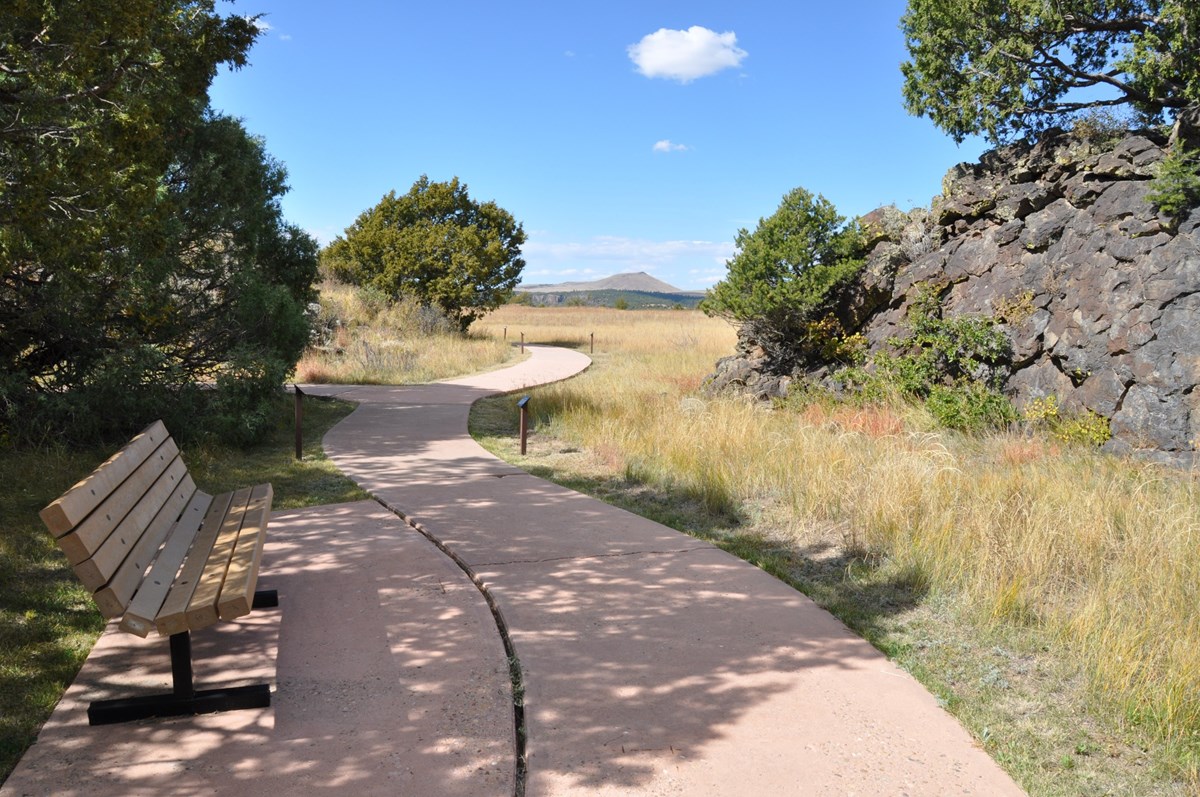 A shaded bench on the side of a paved nature trail wending through juniper trees and grasses. 