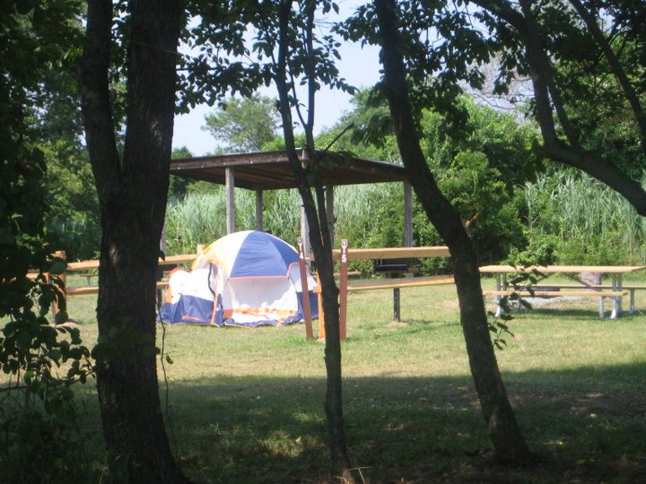 Tent at  Floyd Bennett Field campsite in Gateway's Jamaica Bay unit.
