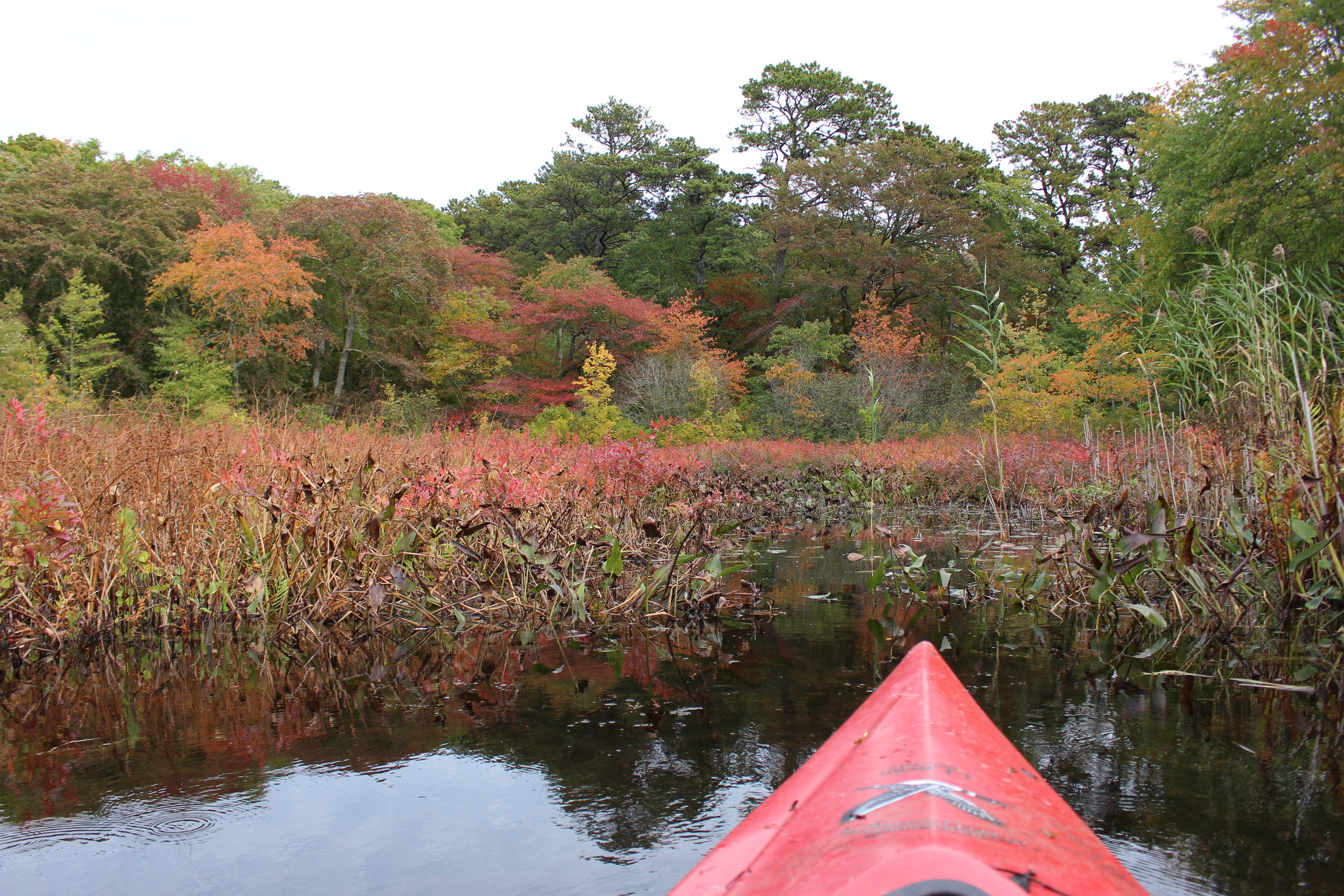A red kayak floats on a pond facing a forest colored with red and orange leaves.