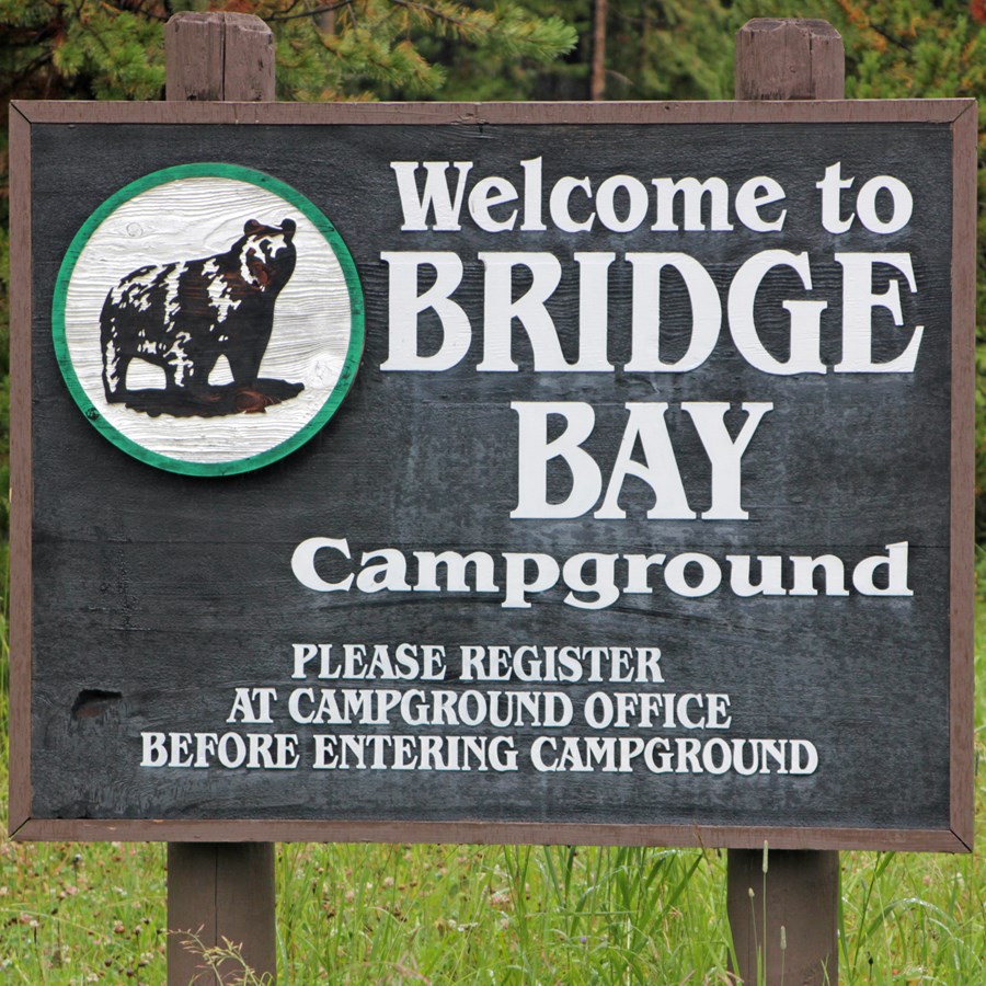 Bridge Bay Campground - Yellowstone National Park (U.S. National 