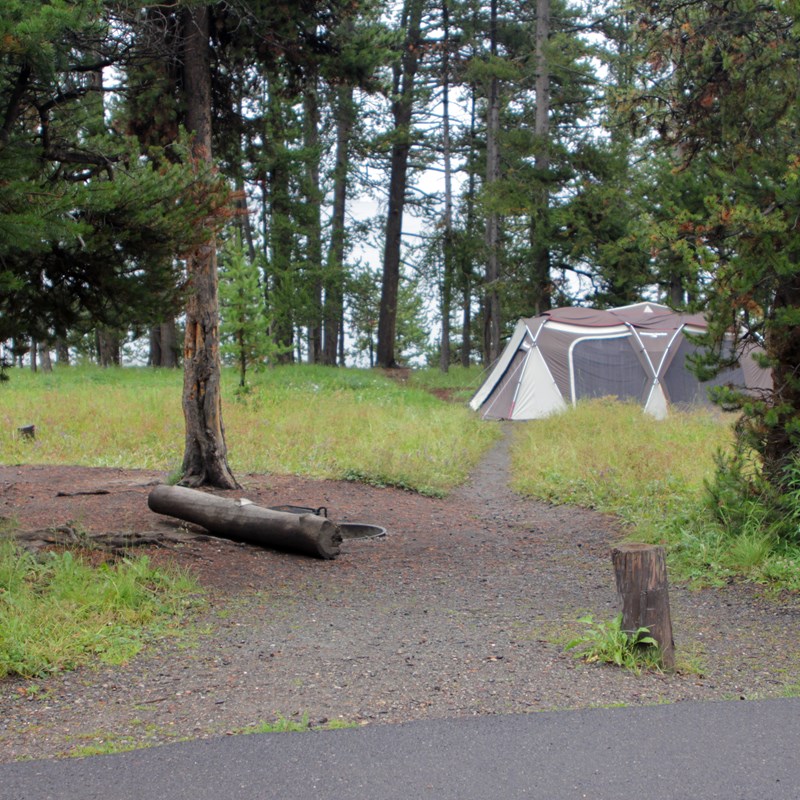 Bridge Bay Campground Yellowstone National Park U S National Park Service