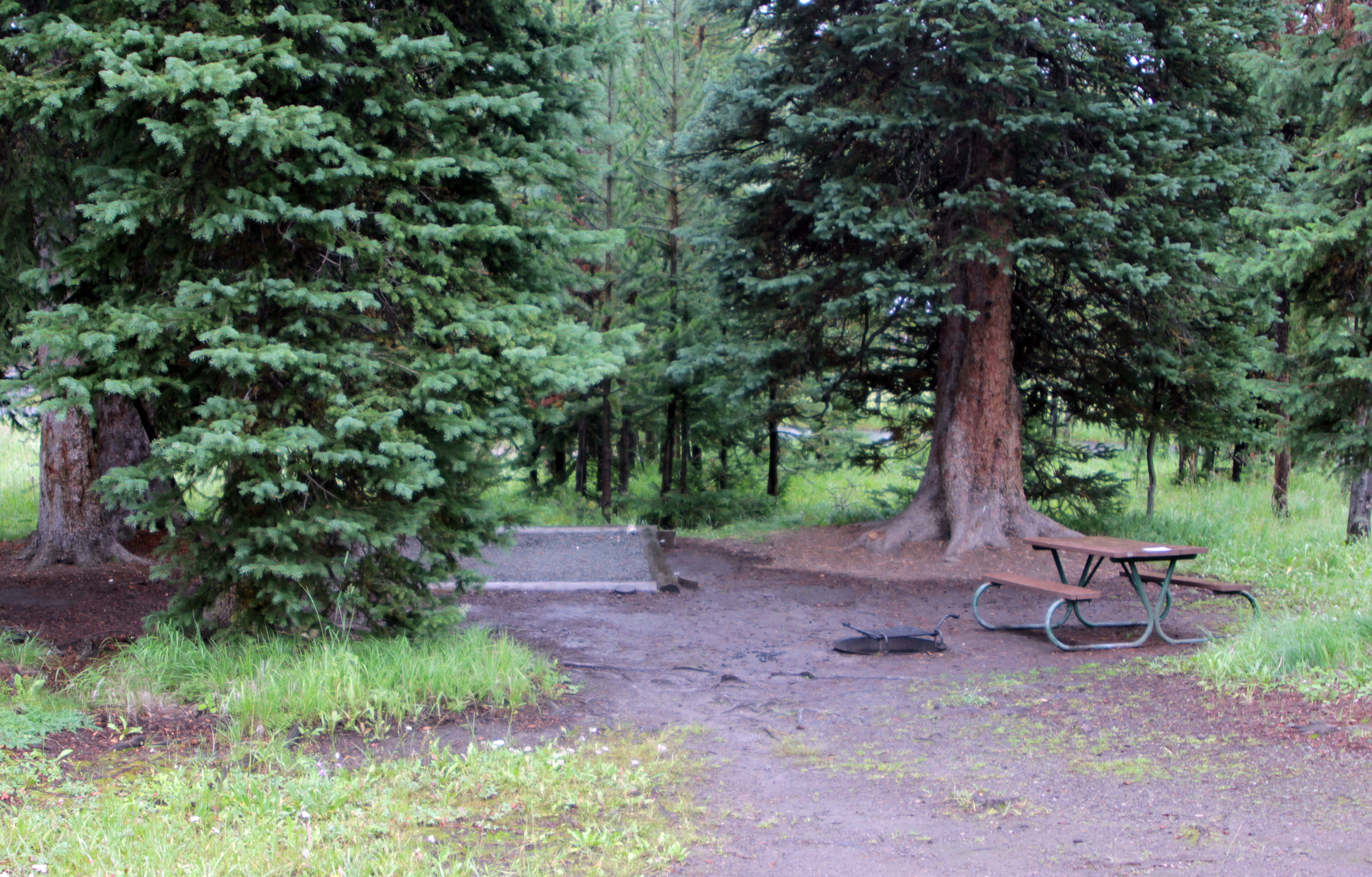 Campsite in trees