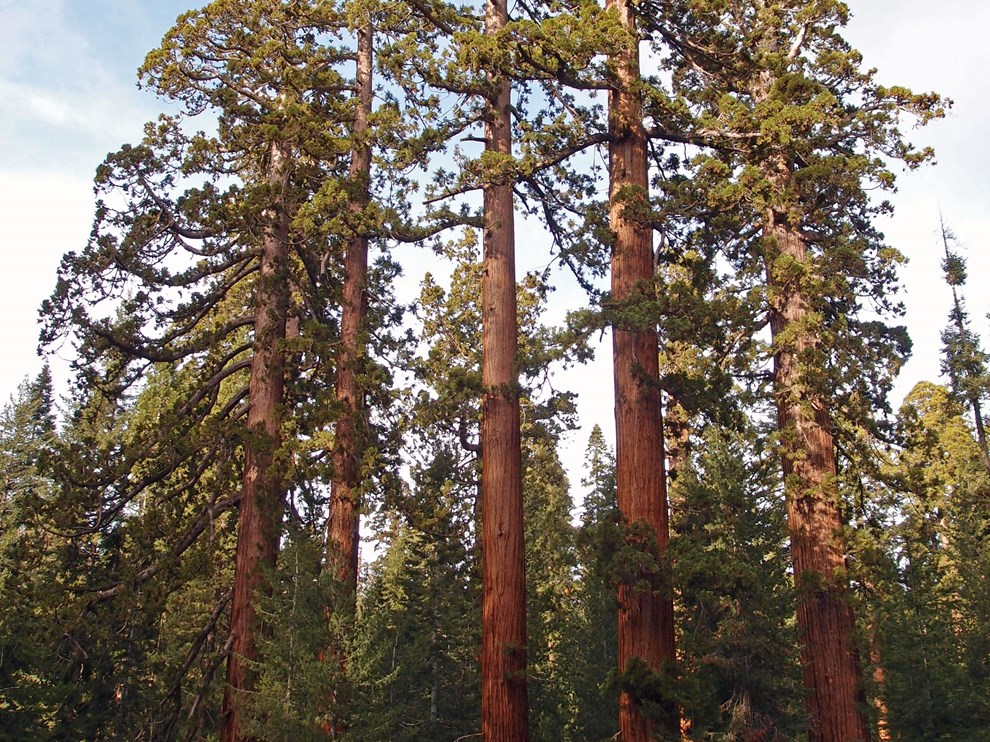 Yosemite National Park