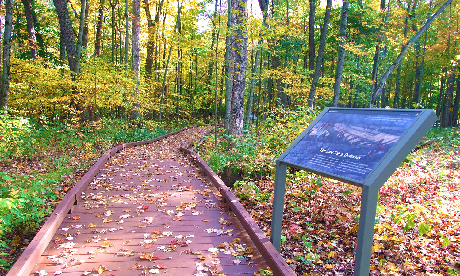 An informational sign sits beside a wooden walkway winding amid early autumn trees.