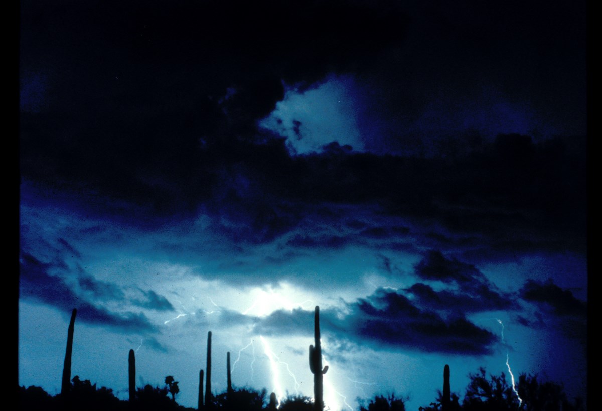 Lightning strike captured on camera with saguaros in the background