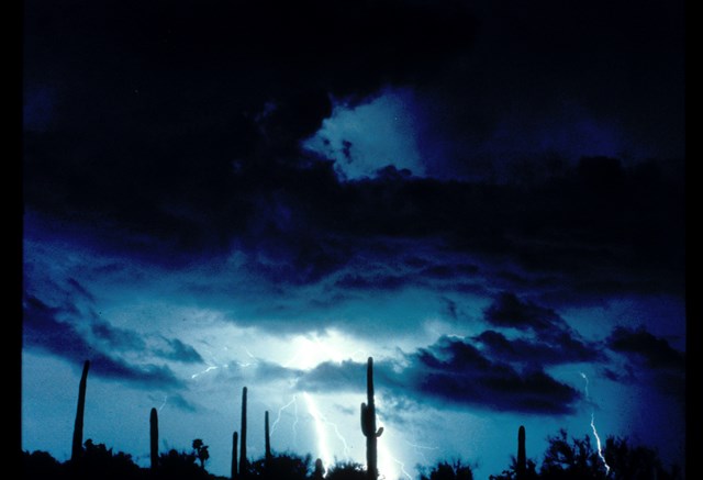 Lightning strike captured on camera with saguaros in the background