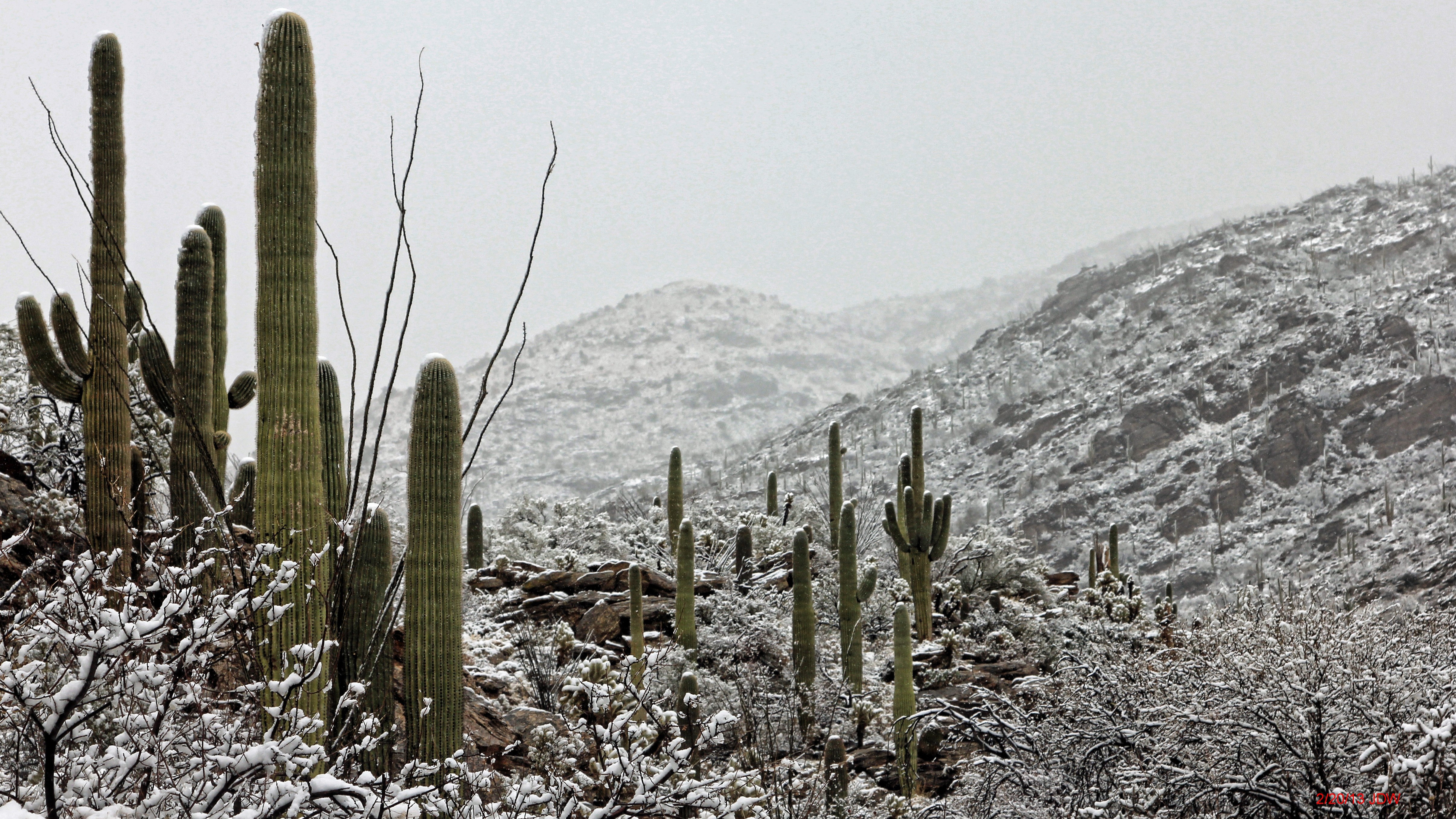 Rare Sight of snow in Saguaro National Park East Visitor Center (Rincon Mountain District)
