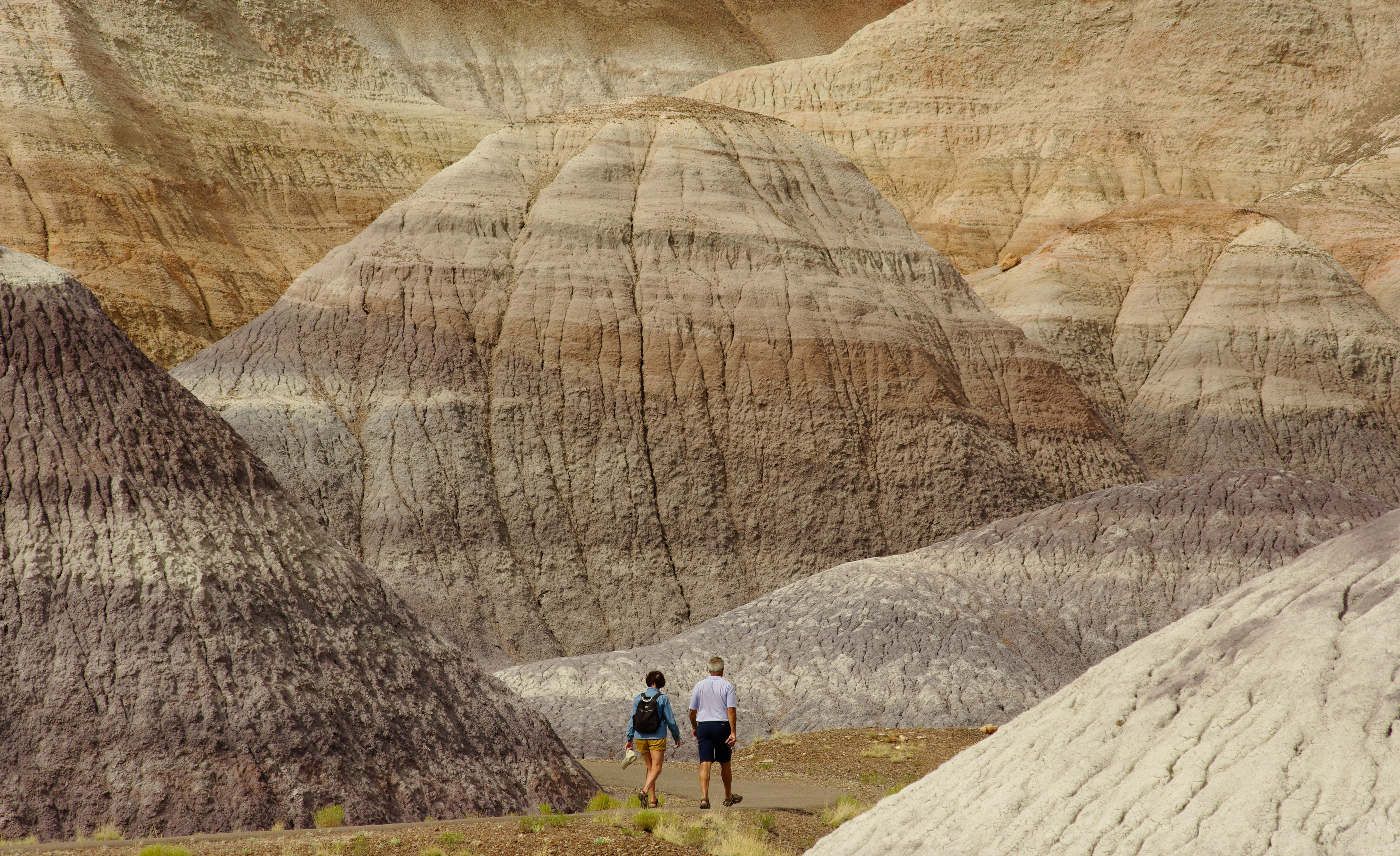 Two visitors walk the Blue Mesa Trail between blue, purple, and grey badlands.