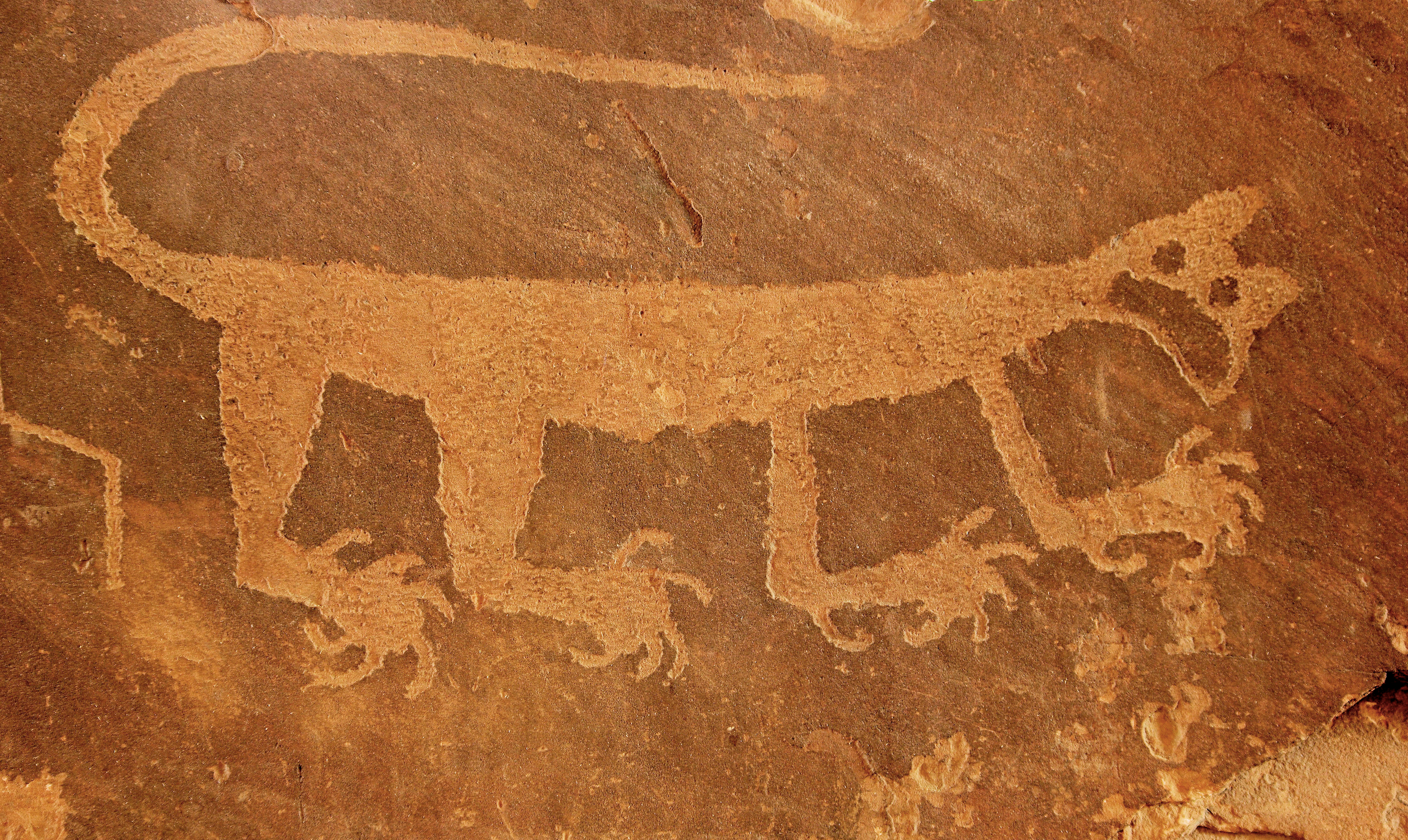 a petroglyph pecked into sandstone that represents a mountain lion
