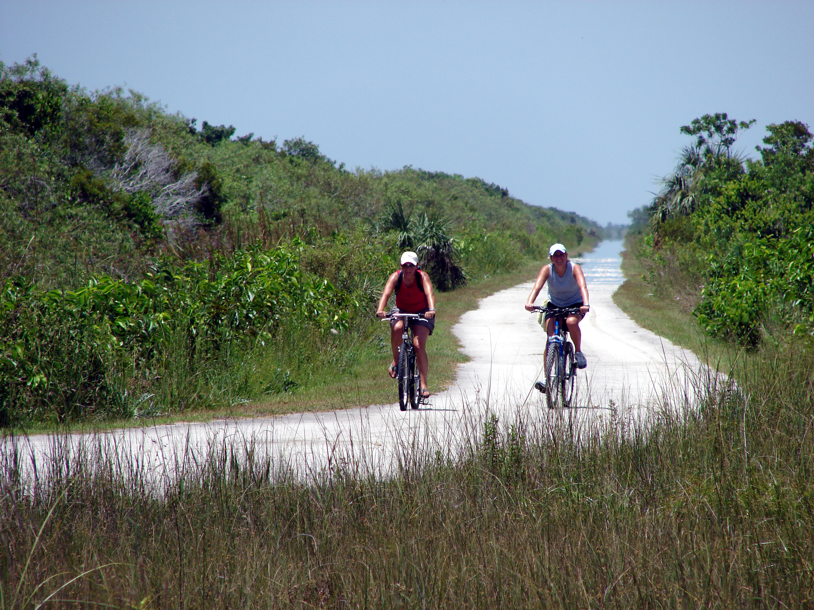 Two visitors bike along the road in Shark Valley.