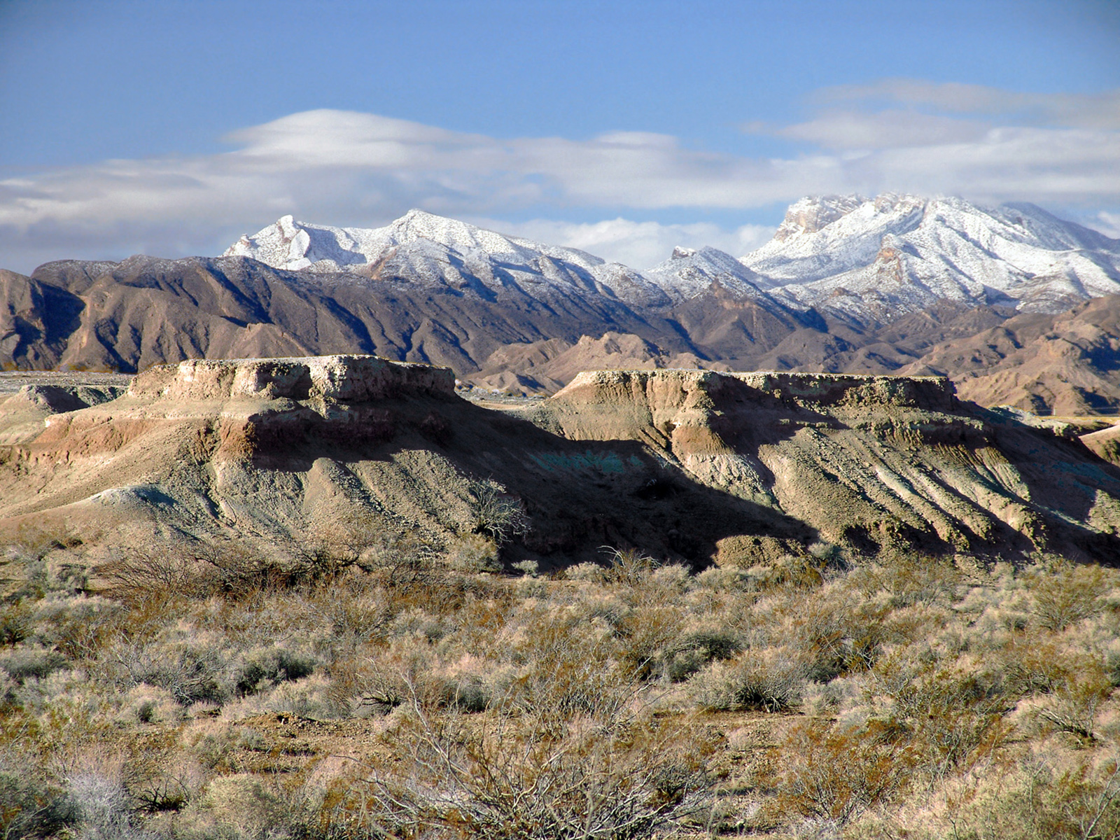 Tule Springs during winter