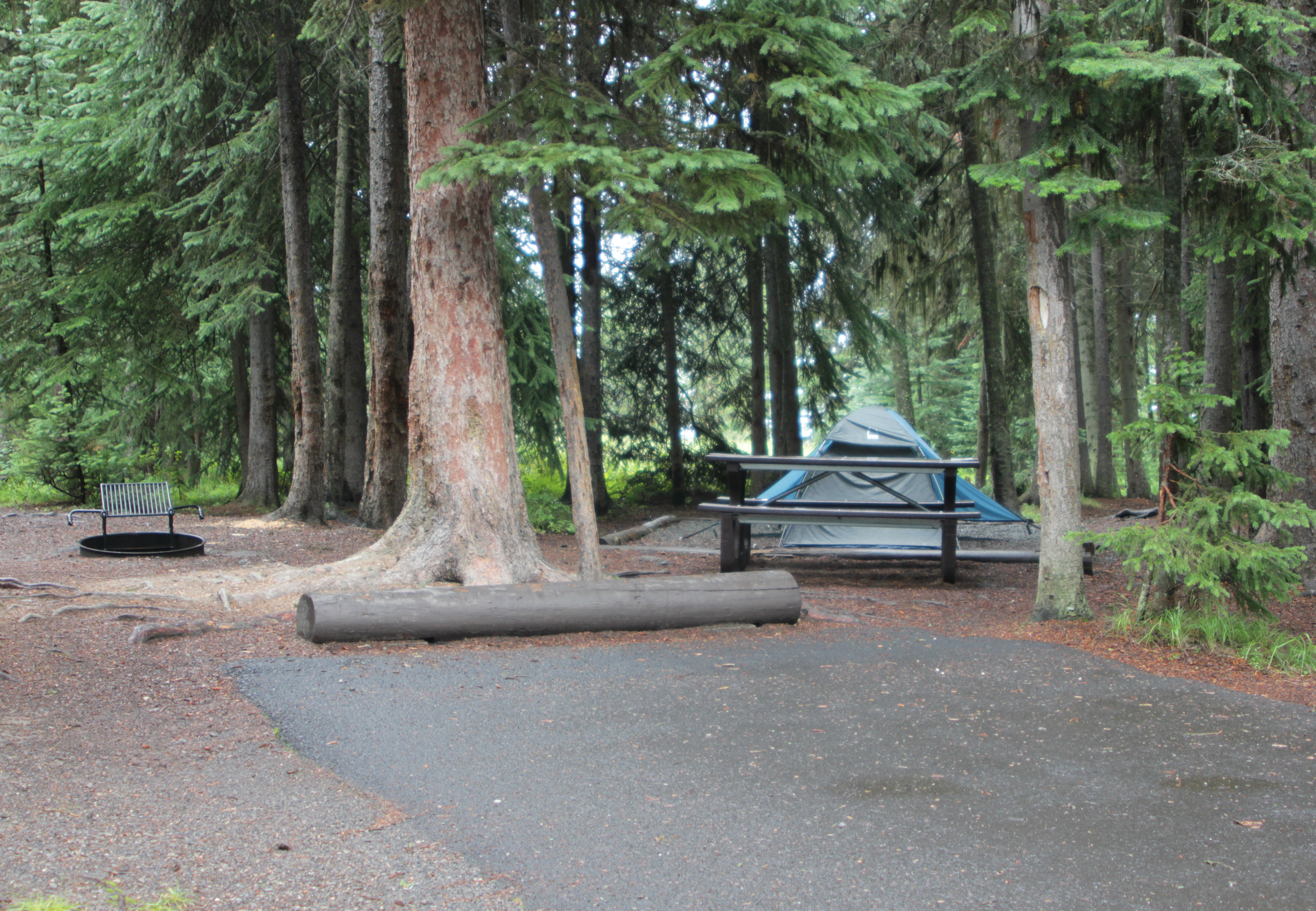 Tent at campsite