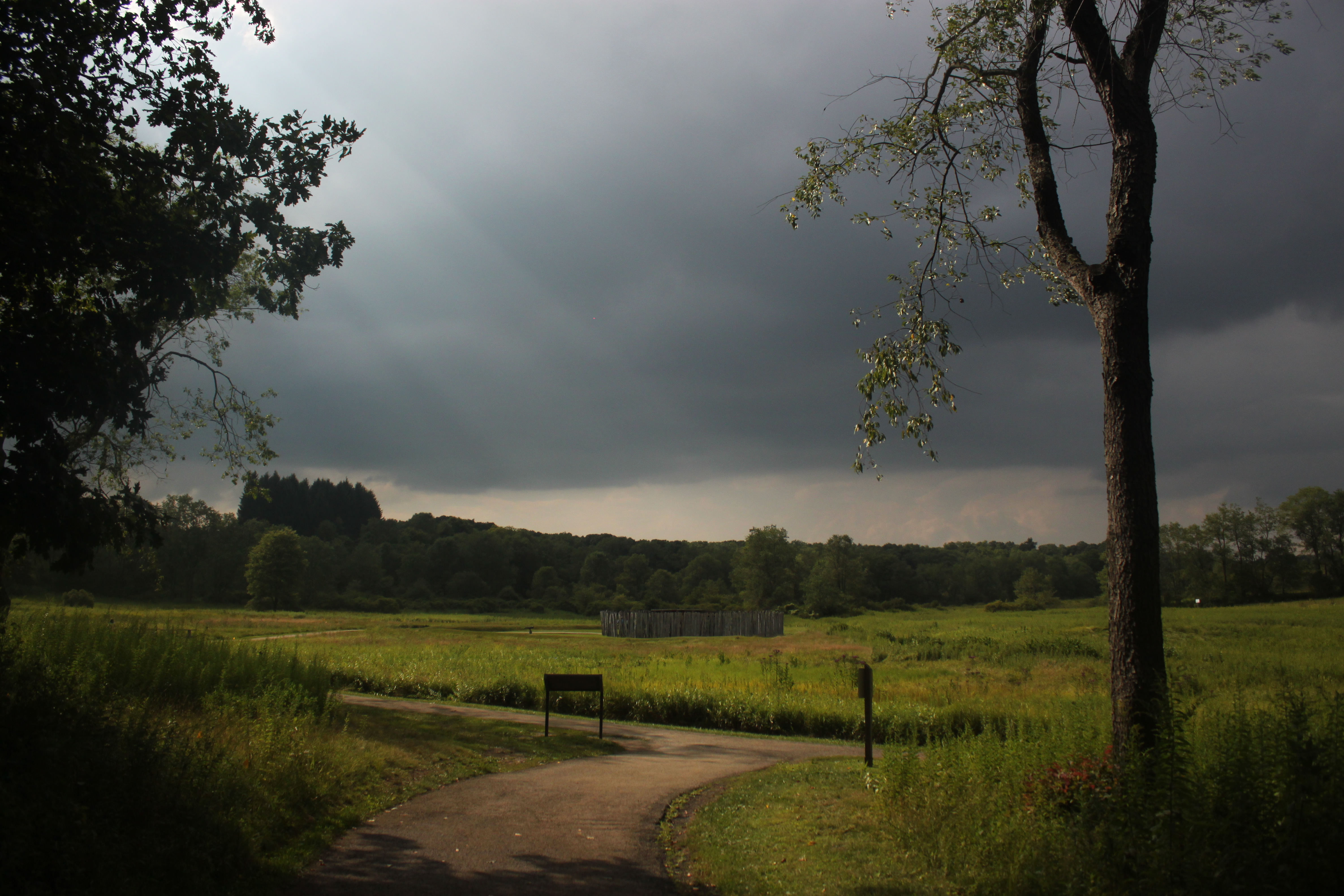 Fort Necessity and the Great Meadow with trail and tree in the foreground