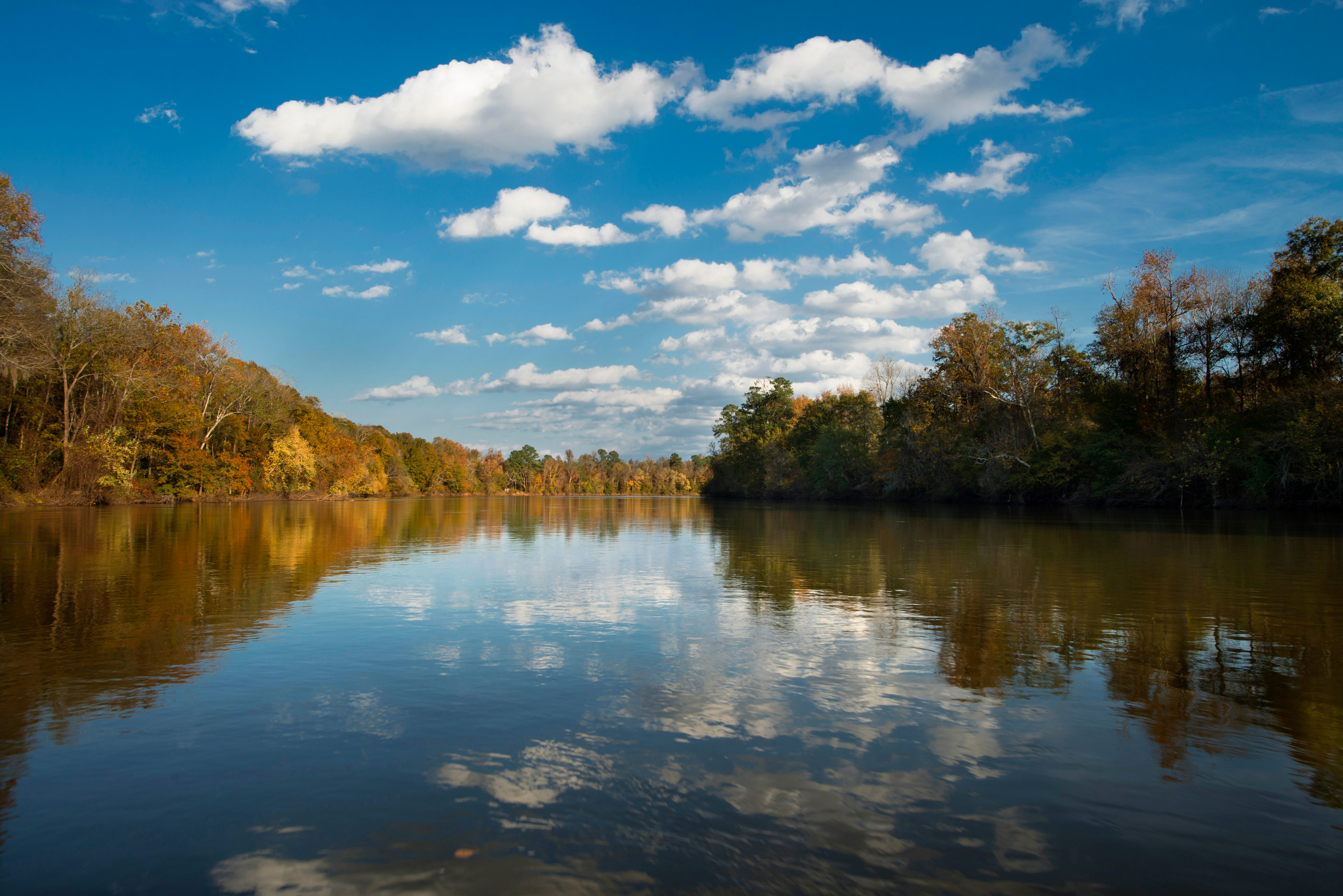 View of the Congaree River during the Fall