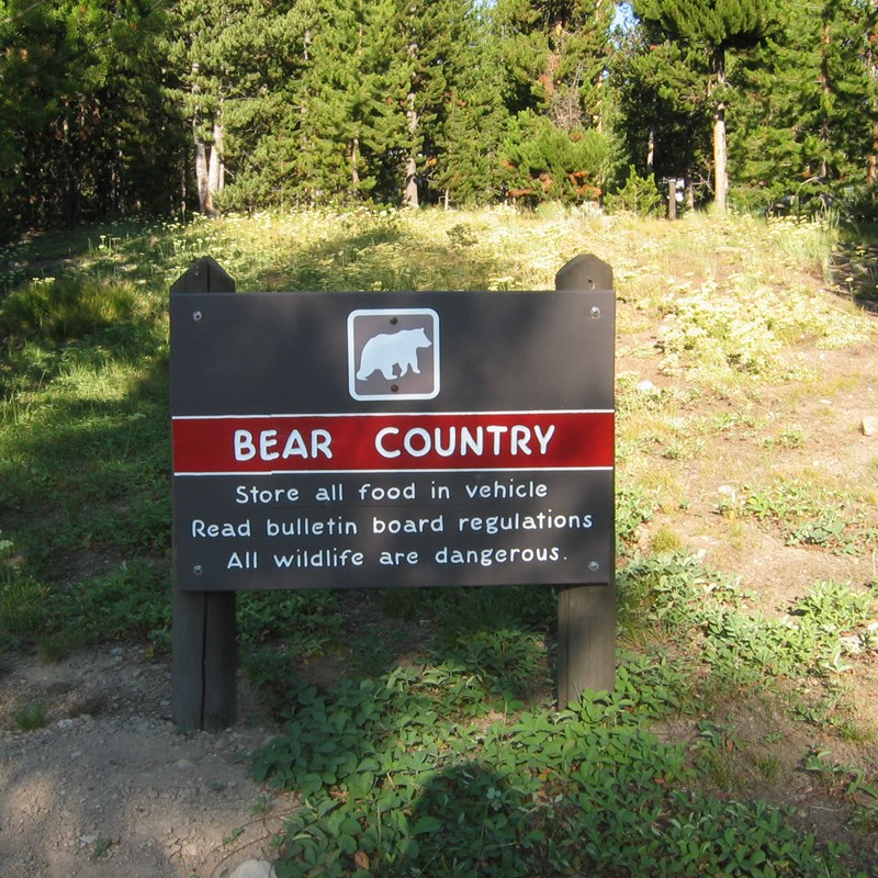 Indian Creek Campground Yellowstone National Park U S National Park Service