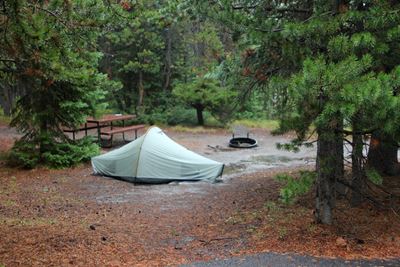 Tent at campsite